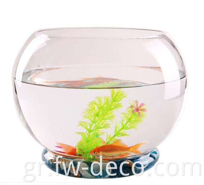 fish bowl